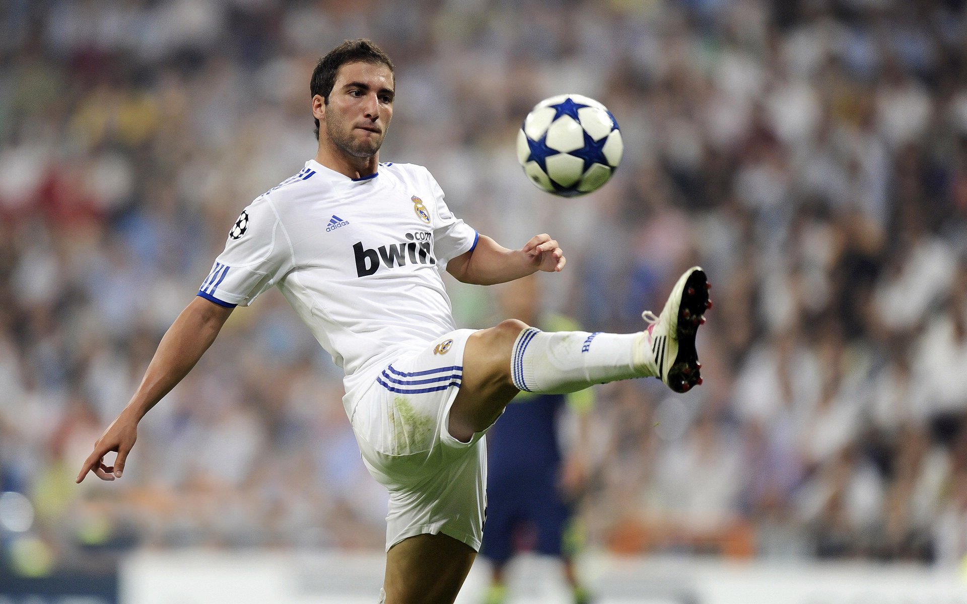 篮球赛事年度市场分析